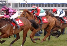 cheltenham4.jpg