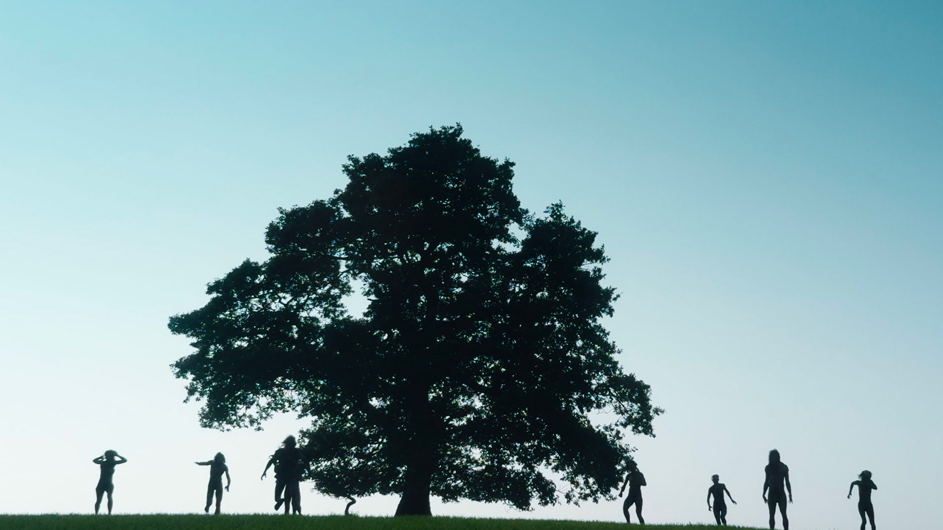 A tree with people standing silhouetted underneath it