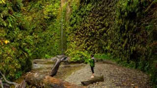 A woman stands on a log in fern canyon