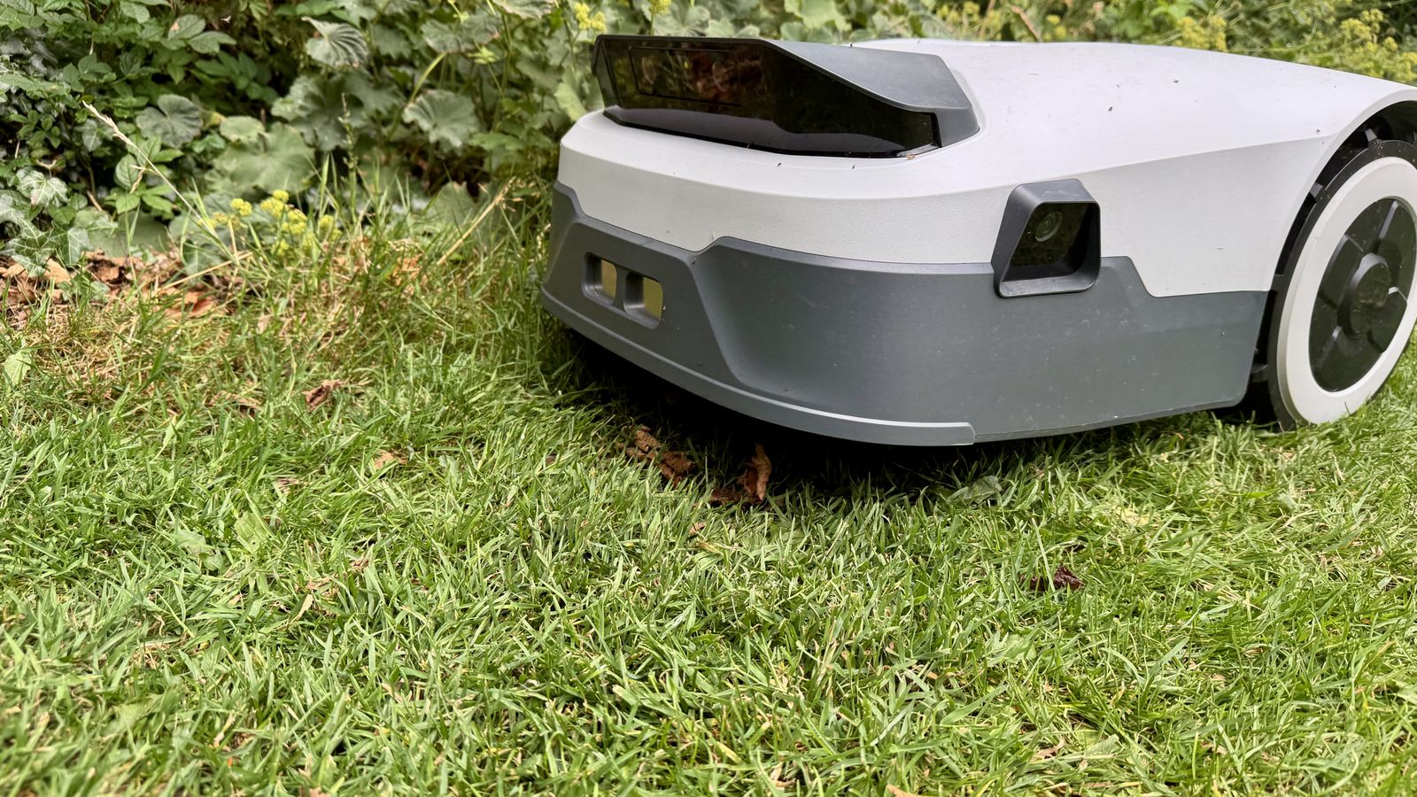 Anthbot Genie 300 robot lawn mower in reviewer's yard