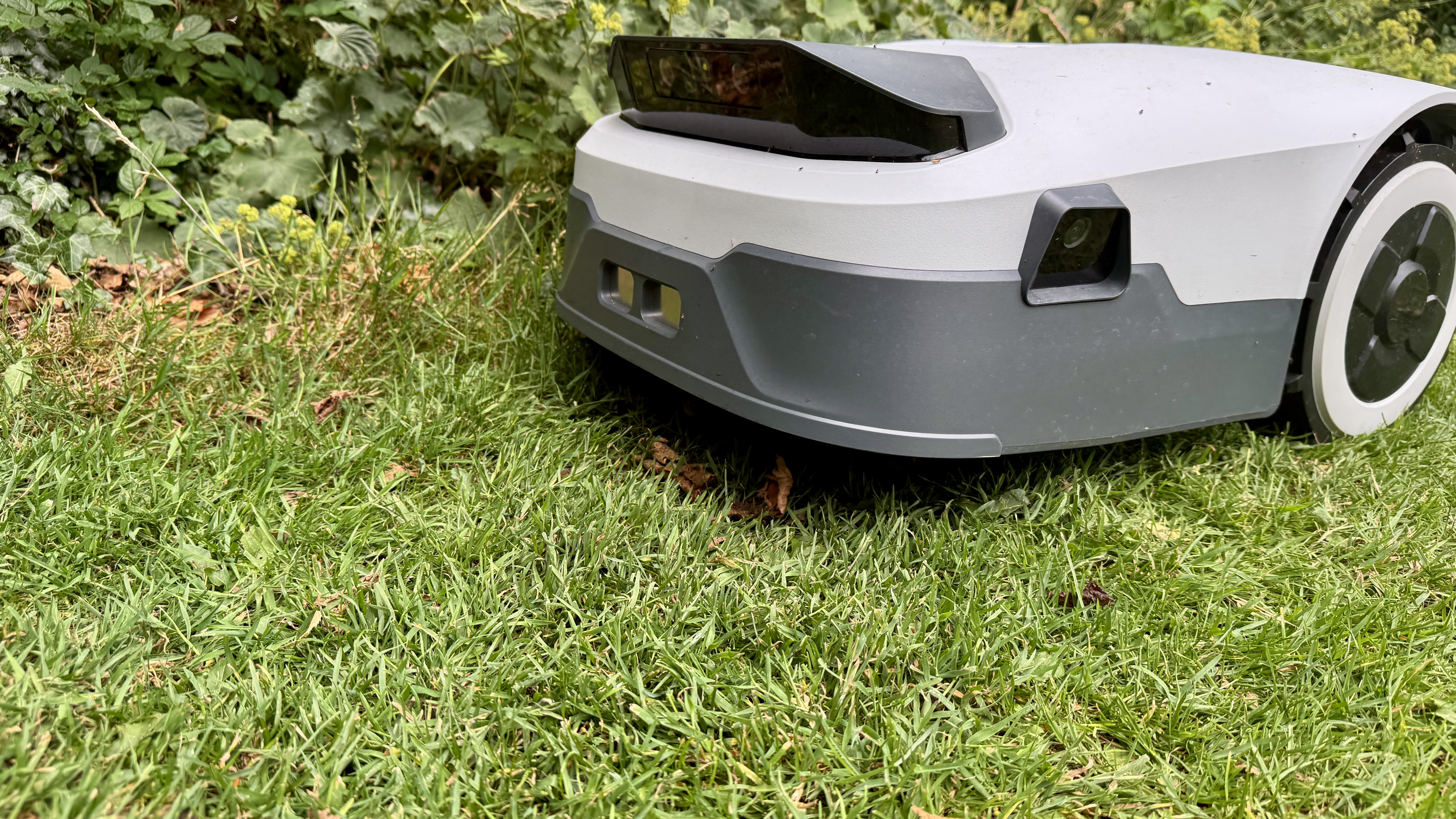 Anthbot Genie 300 robot lawn mower in reviewer's yard