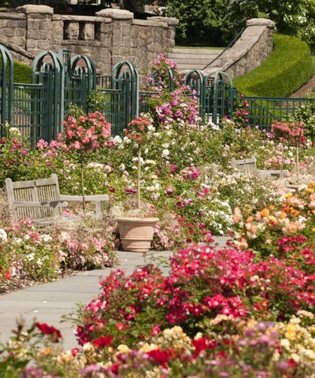 Colorful gadren filled with flowers, concrete pathway with two benches, green railing and stone in the background