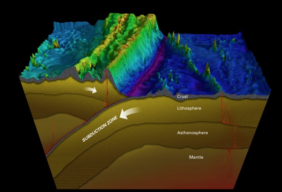 in-photos-rov-explores-deep-ocean-trench-live-science