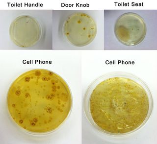 The PhoneSoap team ran its own tests showing how cell phones can be filthier than even toilet seats.