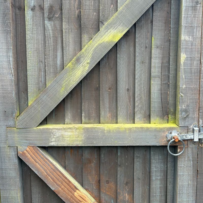 Pressure washer used on painted fence with green on - paint removed clearly on a part of the fance