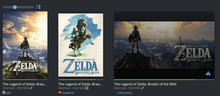 SteamGridDB Nintendo Zelda Breath of the Wild