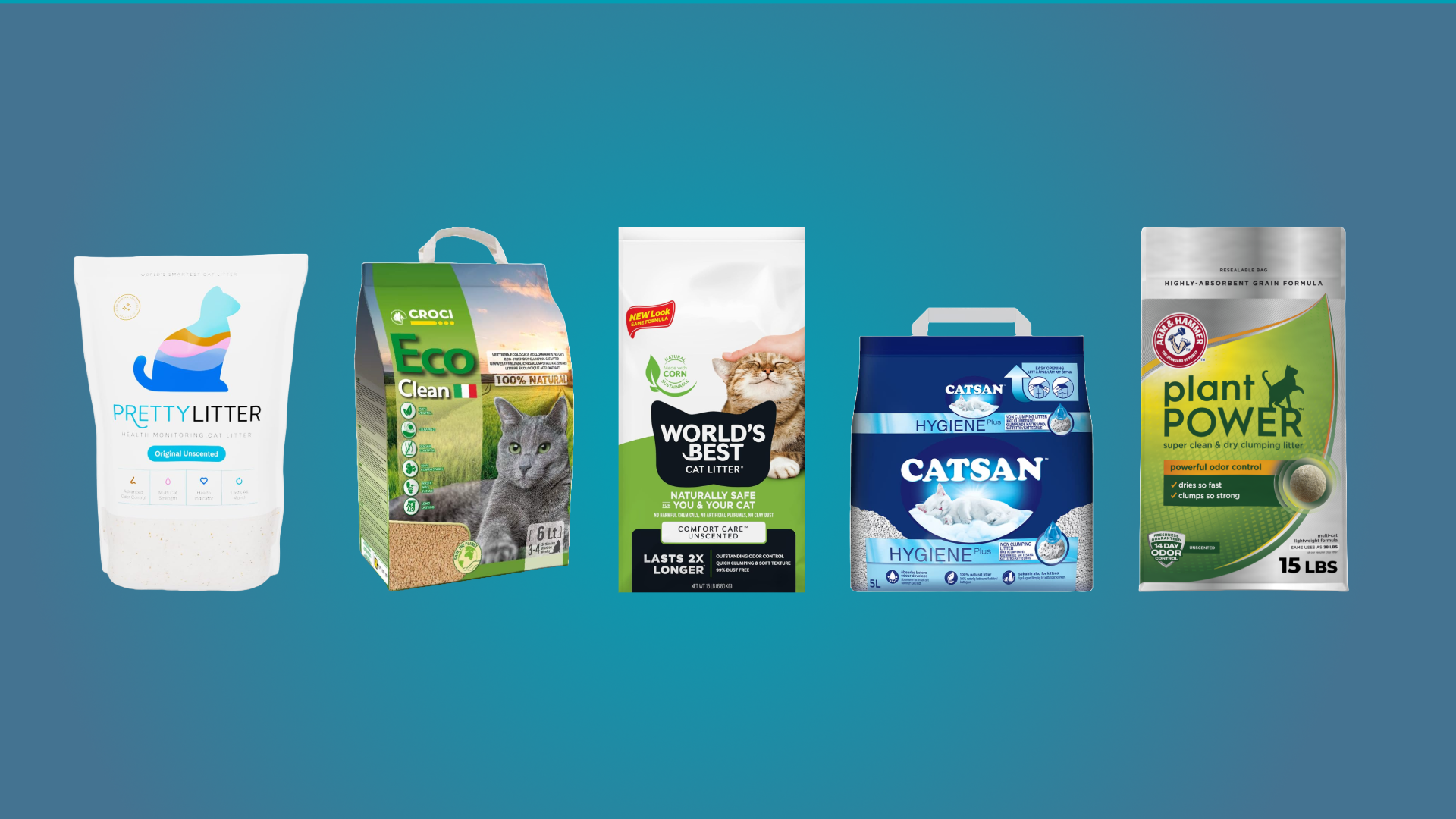 A line up of the best cat litter