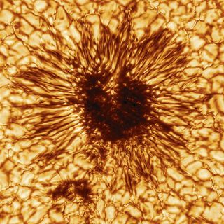 The most powerful solar telescope released its first highly-detailed image of a sunspot.