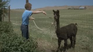 Jon Heder as Napoleon feeding his pet llama, Tina, in Napoleon Dynamite