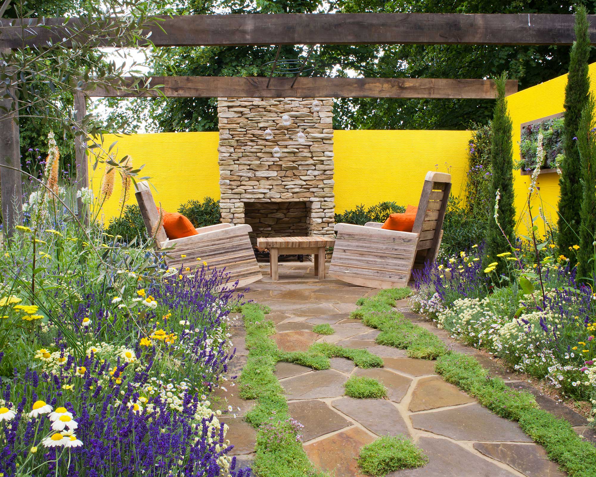 patio with planting in modern garden