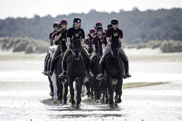 Not all sun and sea: while these images have become something of a staple during the British summer, the iconic splash in the sea is a breather from a busy schedule in Norfolk, perfecting their equestrian and military skills