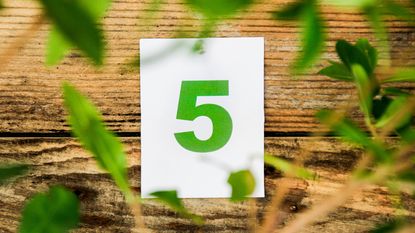 The number five in green on a white card surrounded by green leaves.