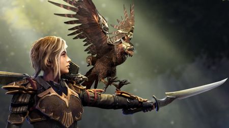 Last Epoch Falconer build