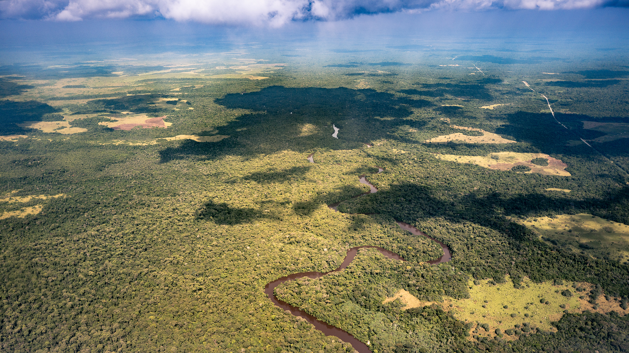 An aerial shot of rainforest in the Congo Basin, Republic of the Congo