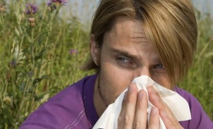 Researchers theorize that people with allergies have "overactive immune systems" that may help stave off cancer. 