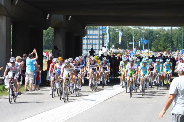 The peloton speeds through Hoogerheide.