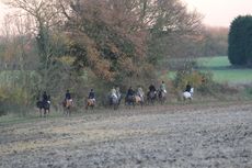 Puckeridge_Hunt14pn_55725.jpg