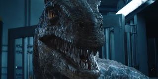 Jurassic World Fallen Kingdom Raptor