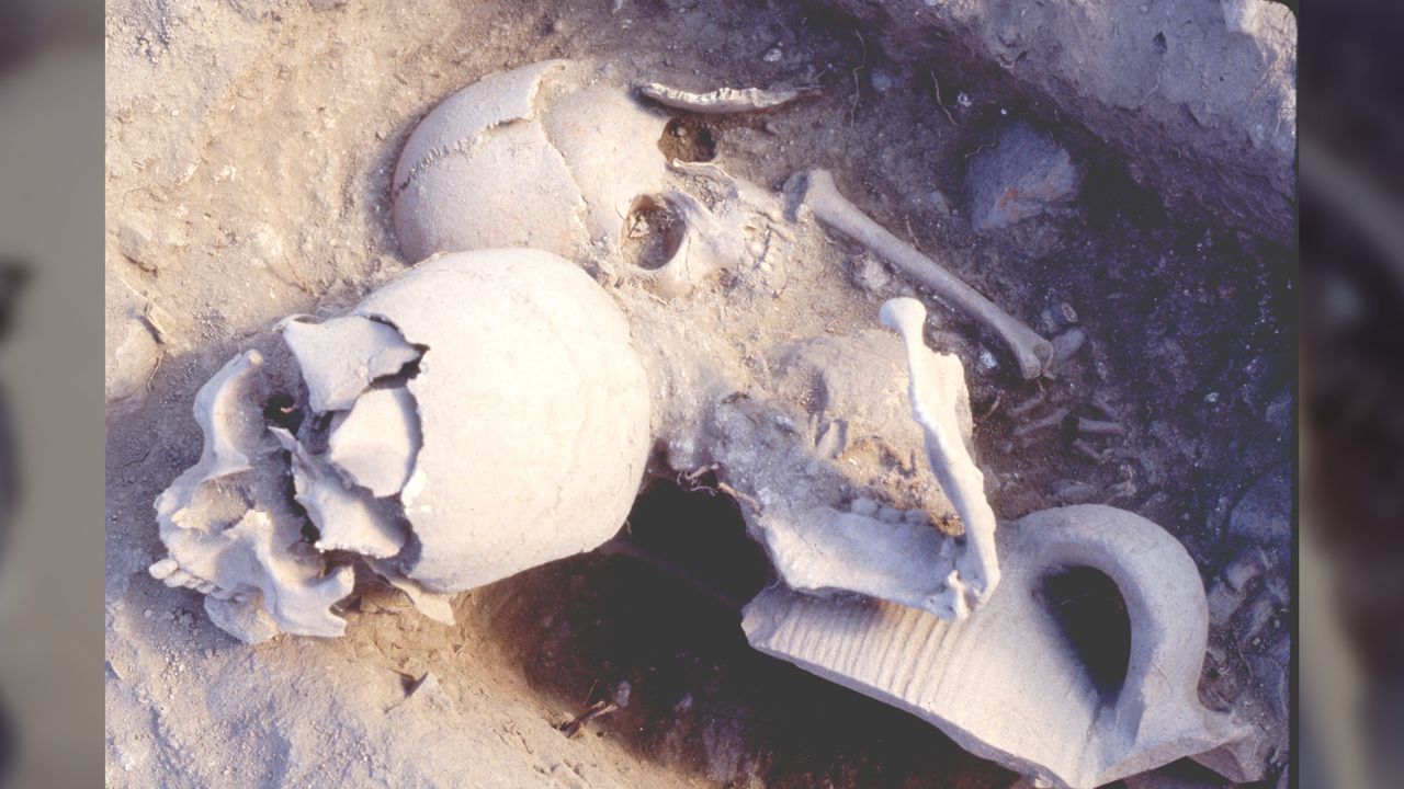 A close-up of the child's burial and the warrior's skull, in the position in which they were unearthed.