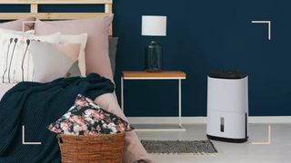 Navy blue bedroom with blue and pink bedding with a dehumidifier to support a guide to buying teh best dehumidifier for a bedroom