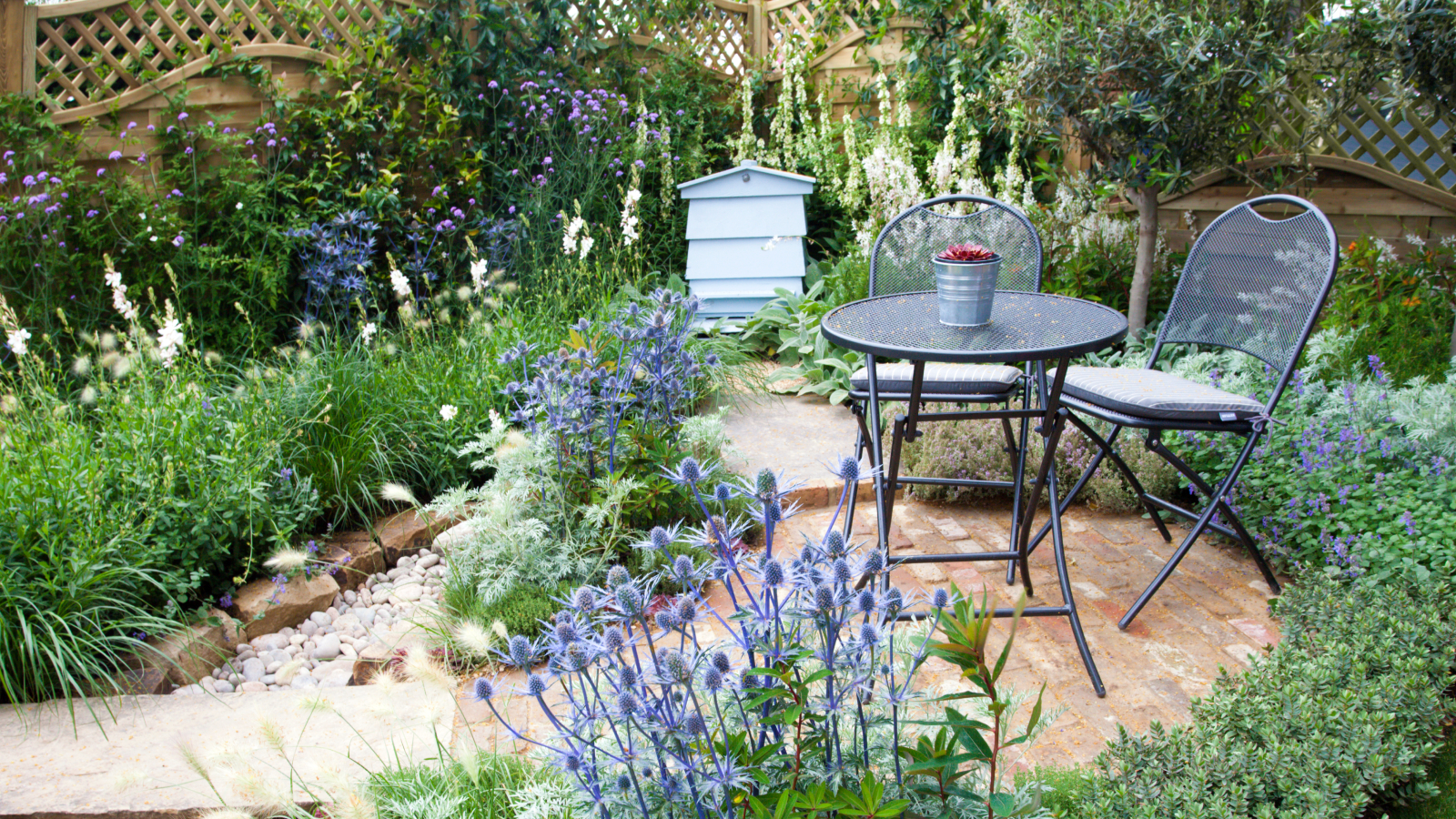 Patio with plants that repel ticks