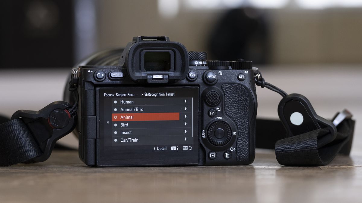 Hands-on Sony A7R V Review: Refined Power? | TechRadar