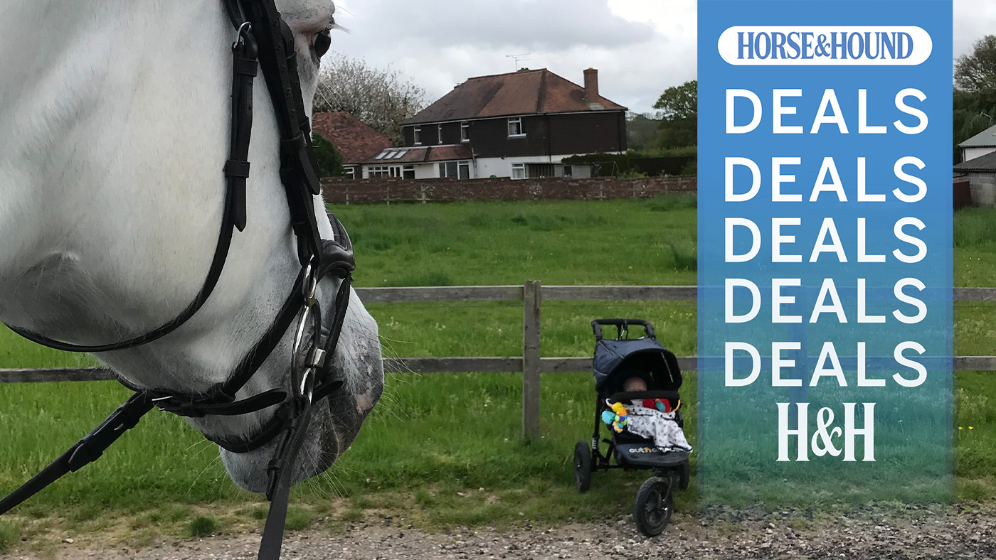Horse head watching baby in a pram, with H&amp;amp;H deals graphic