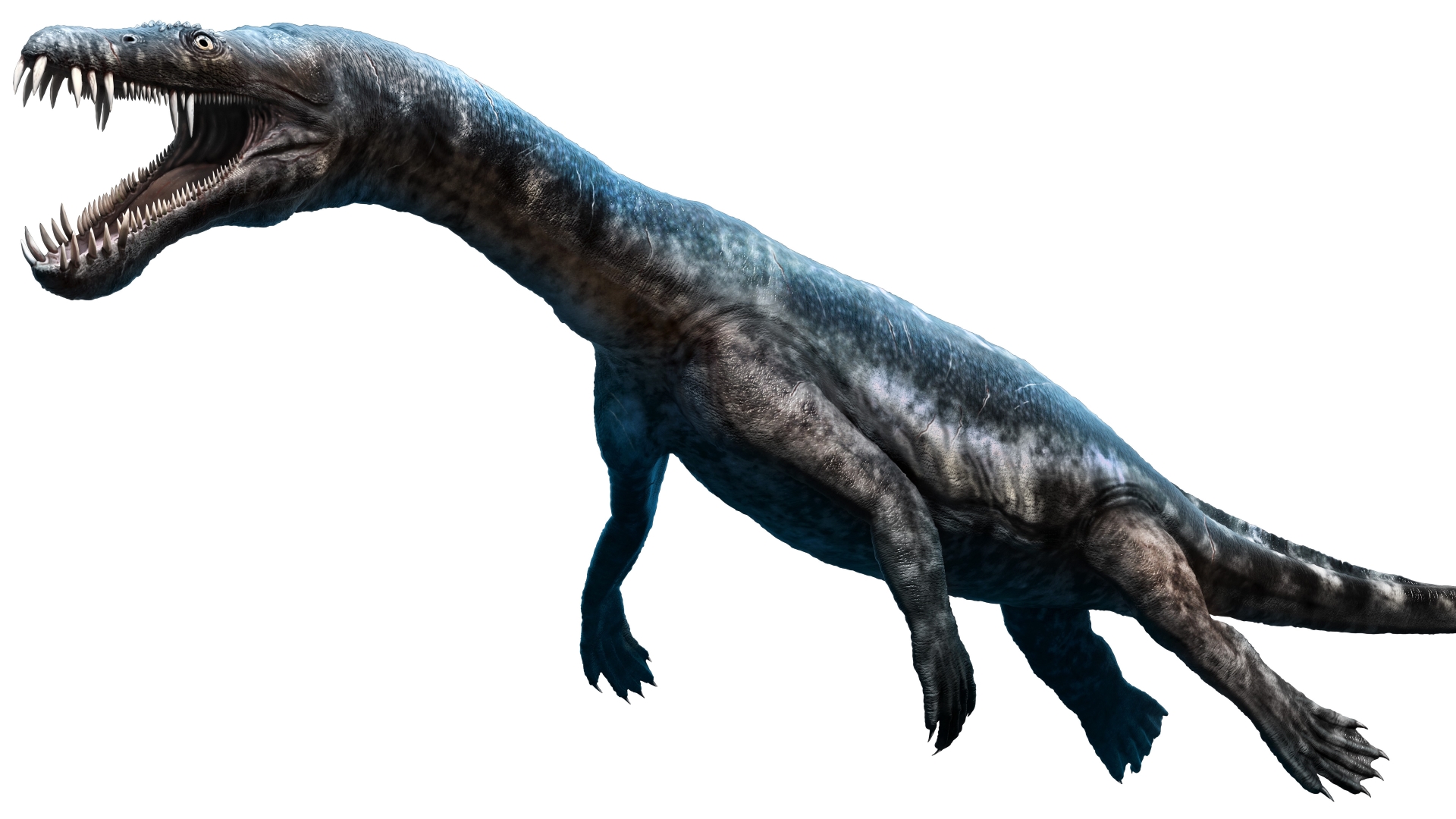 Extinction News And Scientific Articles On Live Science Page 4 Extinction News And Scientific Articles On Live Science Page 4