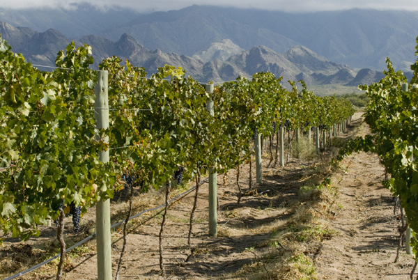 Argentina, Norte - Tucuman