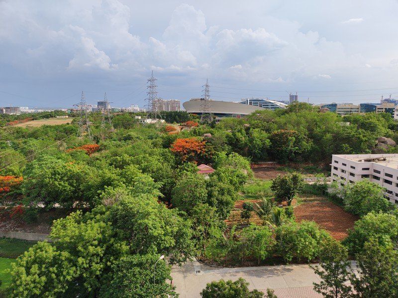 Xiaomi Mi 11 Lite camera