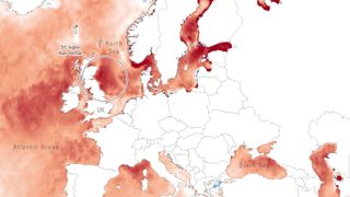 Satellite measurements show extremely high water temperatures around the coast of Britain and Ireland.