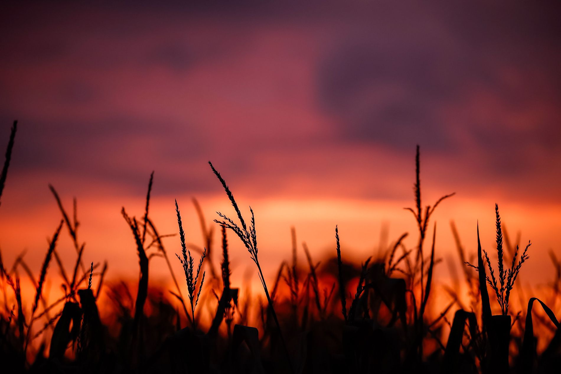 GuruShots - Vivid Landscapes March 2026