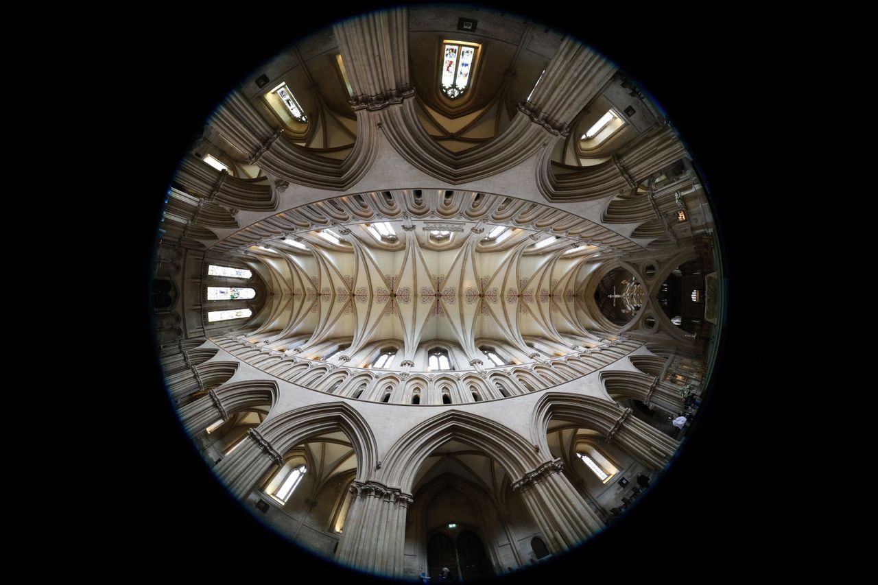 Canon RF 7-14mm f/2.8-3.5L Fisheye STM sample image