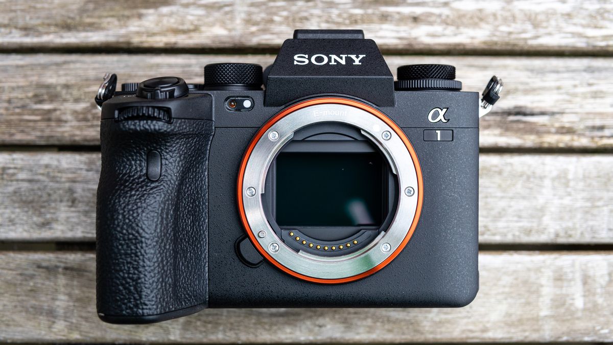 Sony A1 Review: The Best Camera Ever? | TechRadar