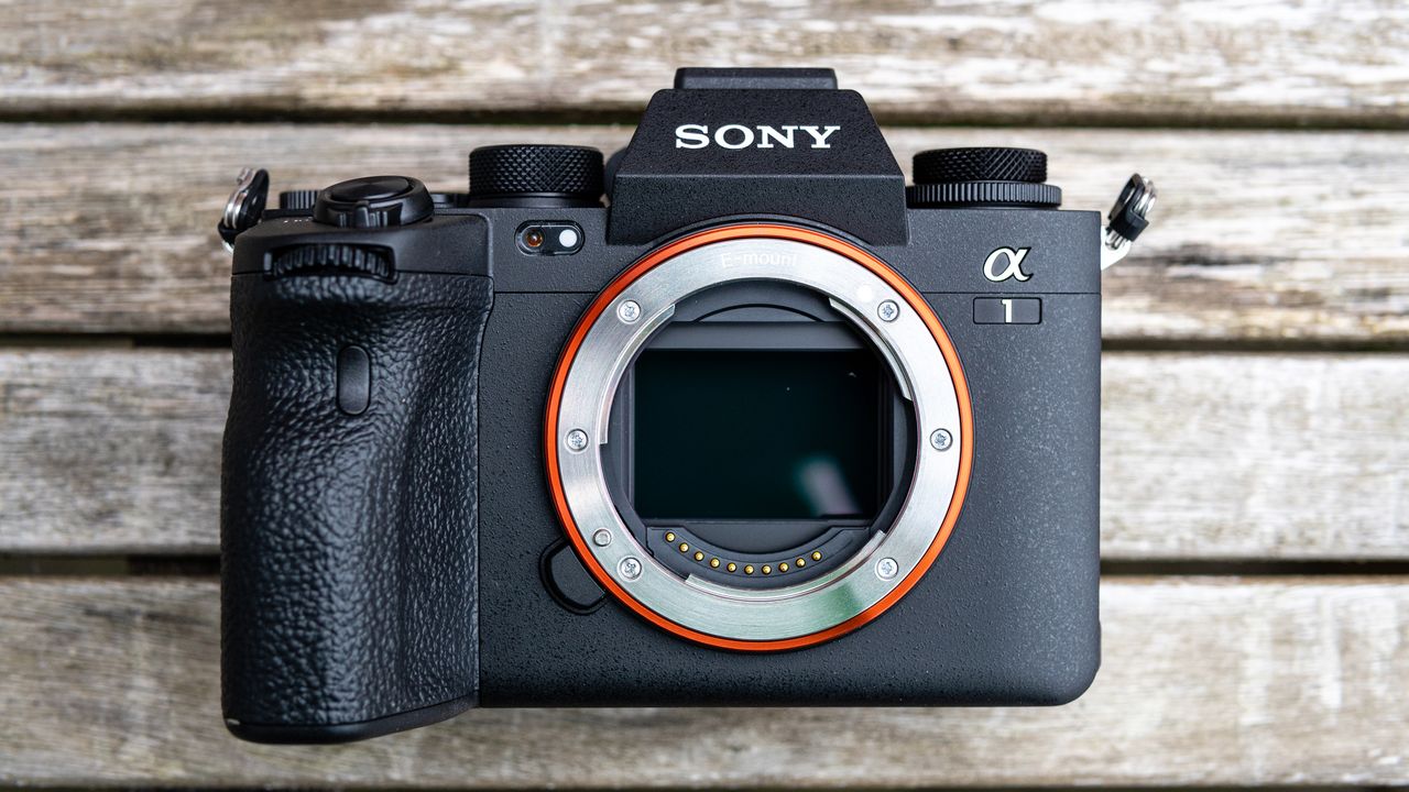 Sony A1