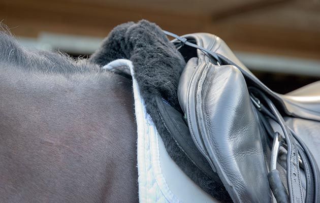 Premier Equine Airtechnology Shockproof Wool Half Pad review