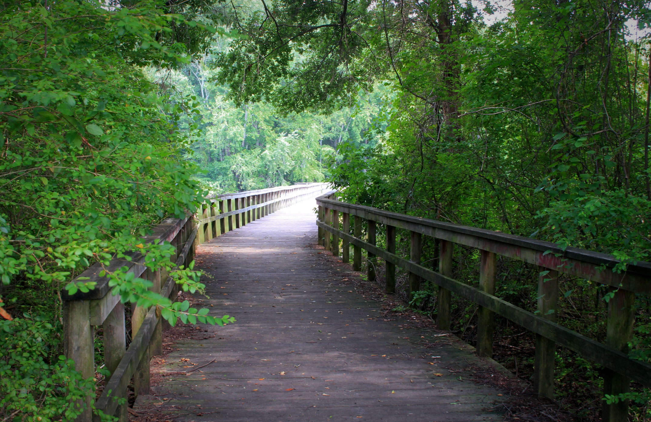 8. Decatur/Hartselle, Alabama