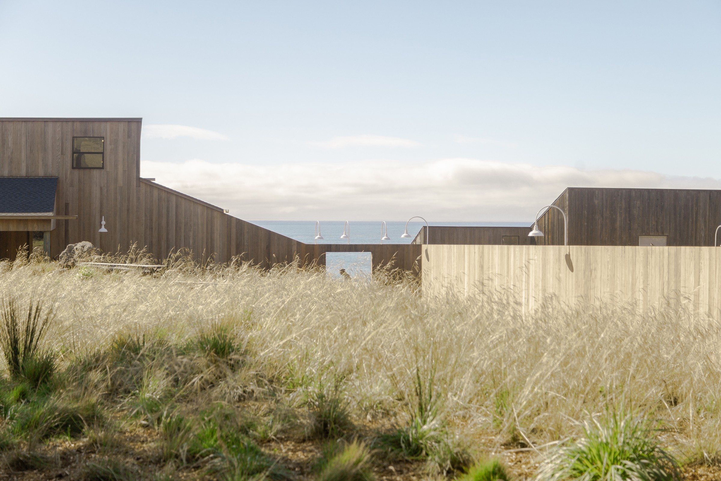 green landscape by studio Terremoto in california, peppered with light timber structures
