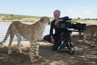 Gordon Buchanan