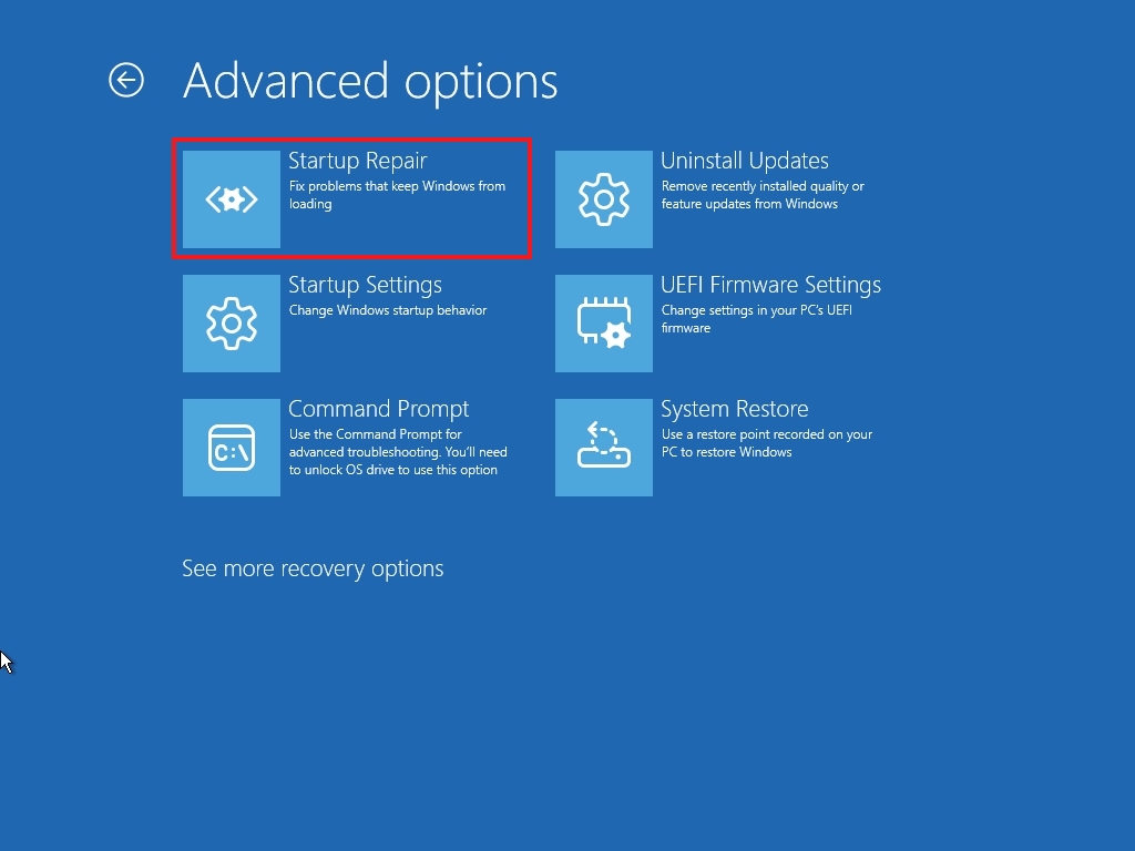 WinRE in Advanced options highlighting the Startup Repair setting.