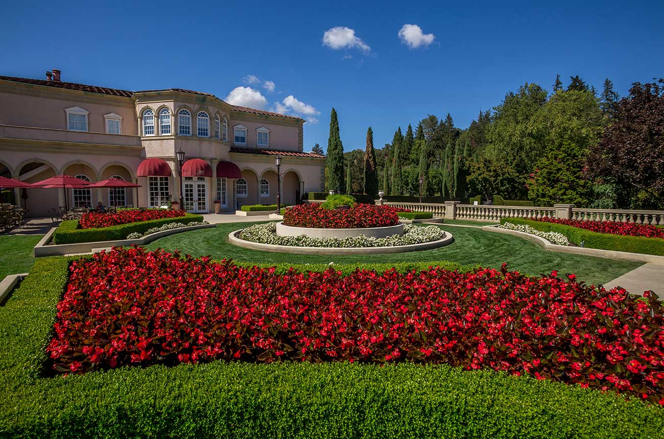 Foley Ferrari-Carano