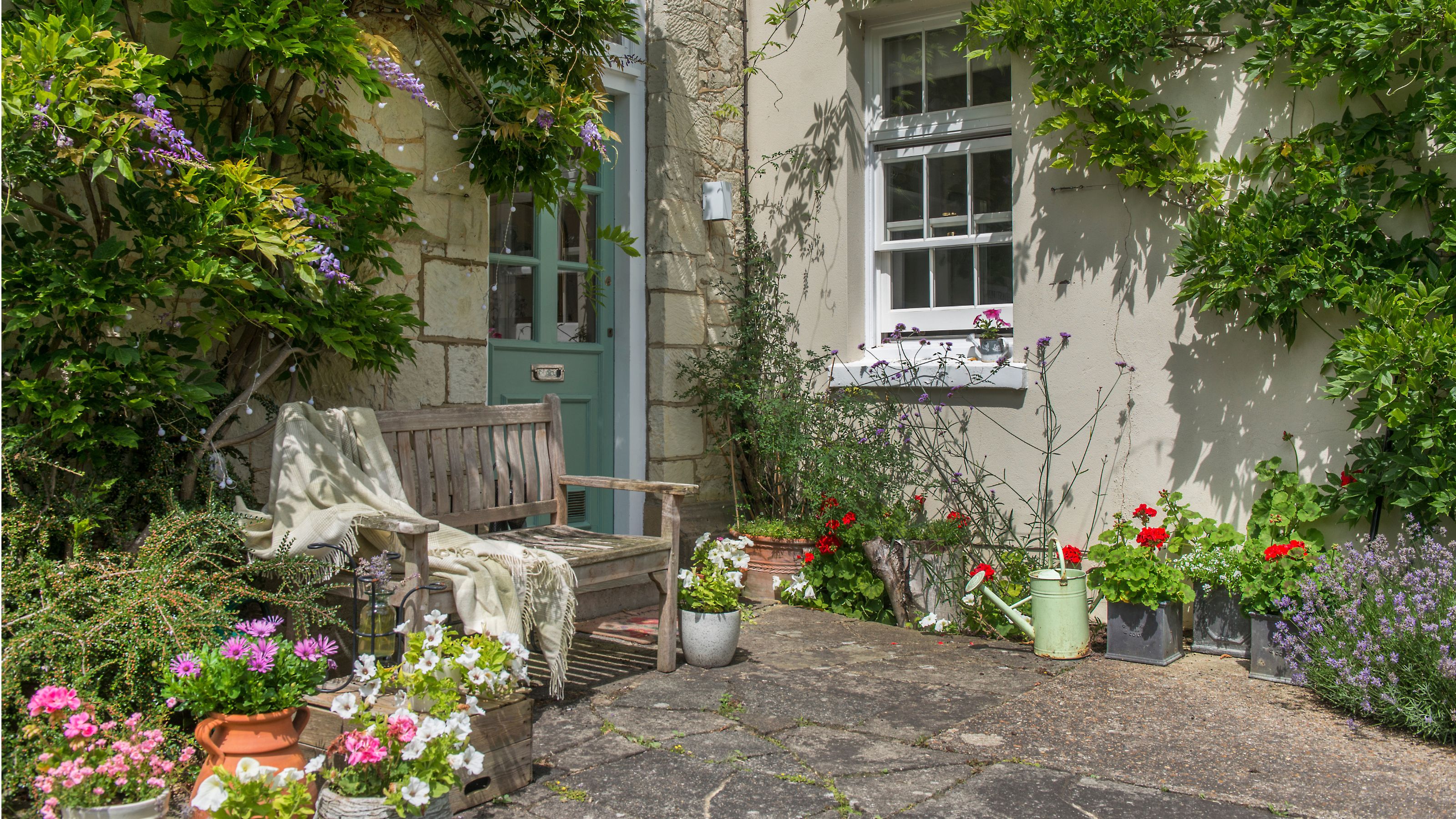 courtyard garden with climbing plants
