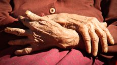 Close-up image of the hands of a centenarian.