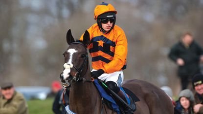 Paddy Barlow rides Caballo Diablo at Cocklebarrow