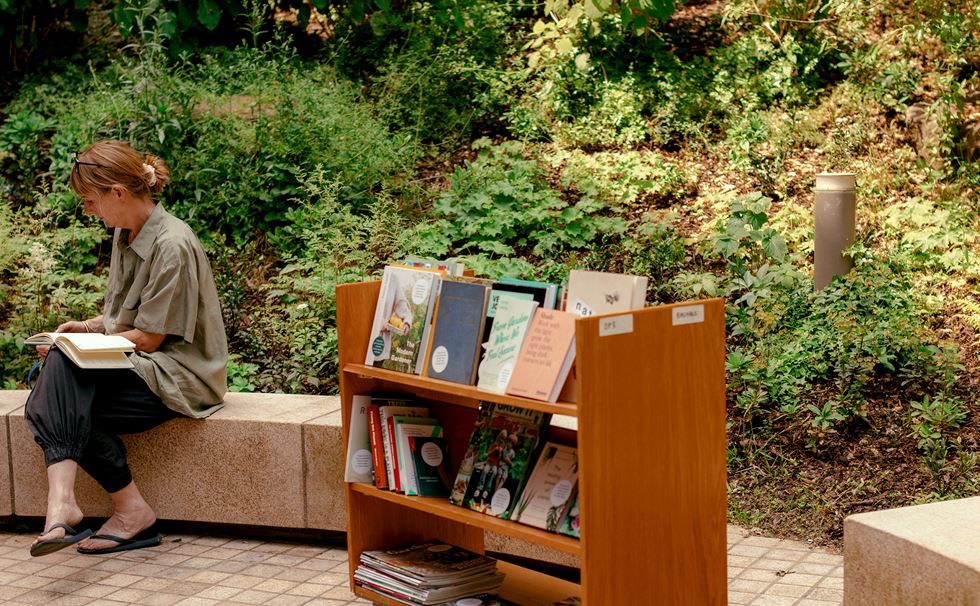 A group of people planting, mingling, and reading in a community garden.