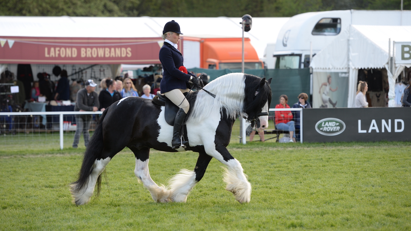 Vikki Smith wins champion cob with Del Boy at Windsor