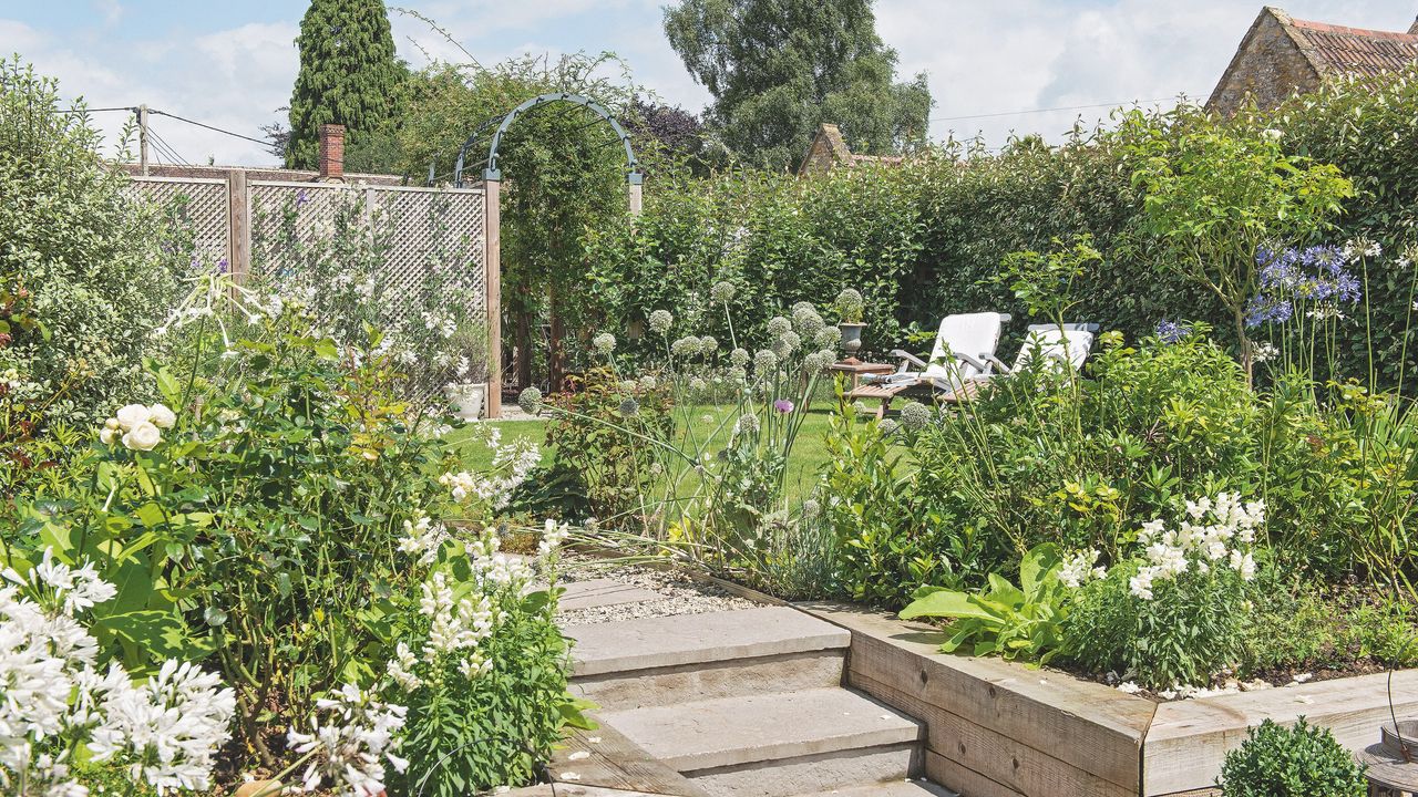 garden with white flowers