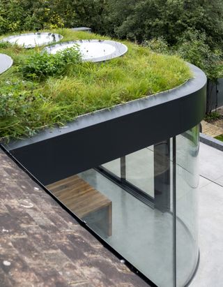 green roof on single storey extension