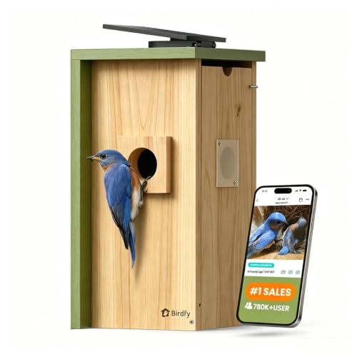 Solar Powered Bird House With Camera