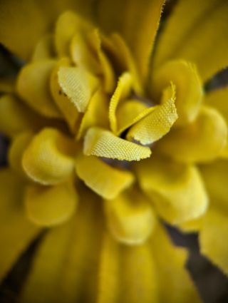 A close-up shot of a yellow fake flower, taken with a Moment Macro 10x lens attached to a Google Pixel 7 Pro
